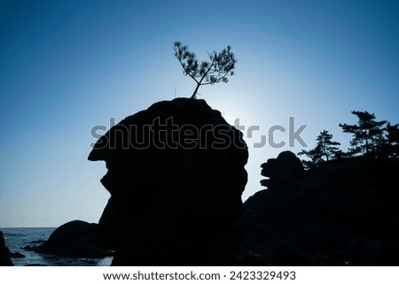 Beautiful blue seaside view with wonderful rock and tree silhouette  view in the korea east sea