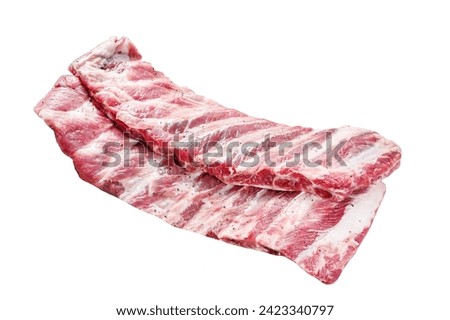 Fresh raw pork ribs with spices and herbs. Isolated on white background. Top view