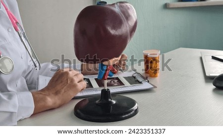 A doctor in a white coat examines a 3D model of a liver while holding a clipboard and pen, with pill bottles on the desk. The concept of healthcare, medical research, and treatment of liver diseases.