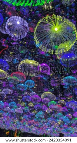 Rainbow jellyfish lighting walkthrough rooms  Royalty-Free Stock Photo #2423354091