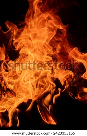 Raging flames in the furnace. Hot burning of wood. Orange tongues of hot flame on the logs of the fire. Abstract fire background. Bizarre swirls of flame that paint an apocalyptic picture.