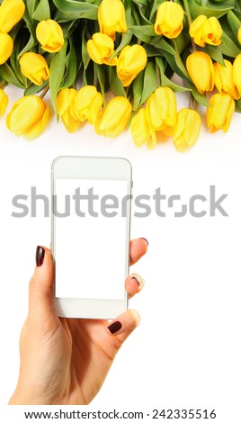 Hands taking picture of yellow tulips