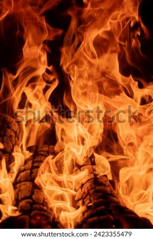 Raging flames in the furnace. Hot burning of wood. Orange tongues of hot flame on the logs of the fire. Abstract fire background. Bizarre swirls of flame that paint an apocalyptic picture.
