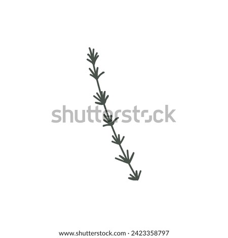 Drawn branch on white background