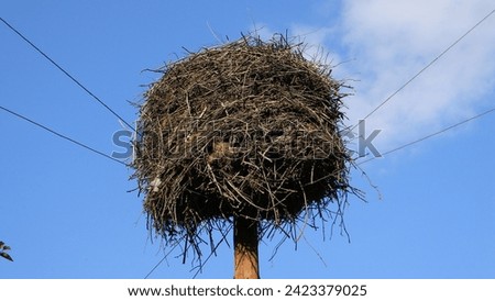 Big stork nest close-up on sky background, bottom view