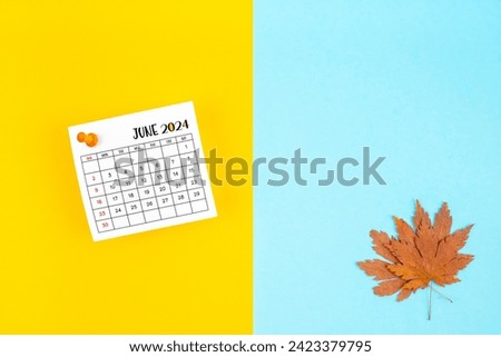 Top view of a June 2024 calendar and autumn foliage on a yellow and blue background. Empty space provided for text or advertising purposes
