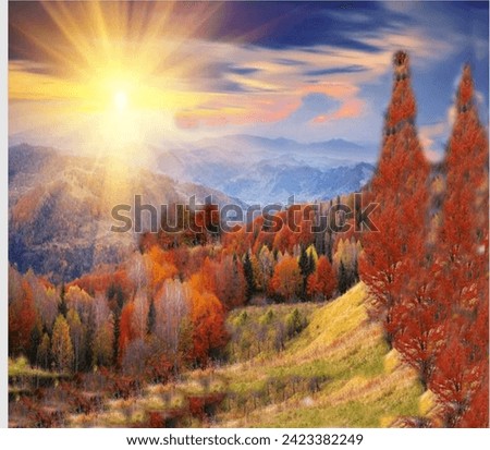 beautiful 💖sunset scene using for assigment Royalty-Free Stock Photo #2423382249