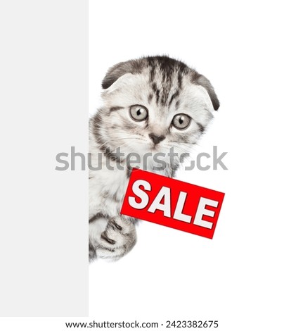 Funny kitten holds sales symbol  behind empty white banner. Empty space for text. Isolated on white background