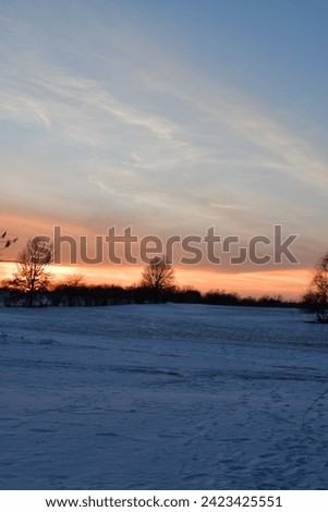 Sunset over a snowy field