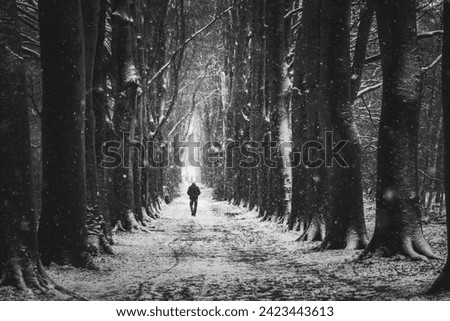 Man walking through snowy forest,black and white winter image