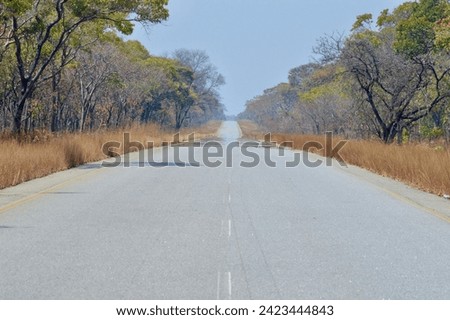 Beautiful landscape with street road in Africa. The road is empty and no one in the road. The road is crossing in the kafwe nation park. 