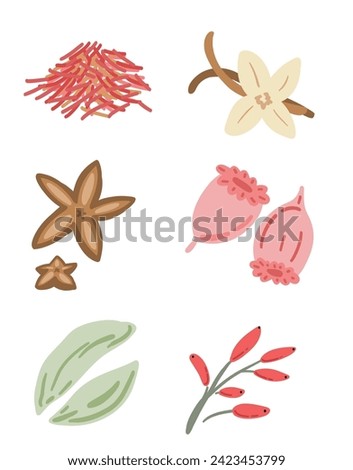 Spices condiments flat design set on whote background with anis cardamon vanilla saffron Royalty-Free Stock Photo #2423453799