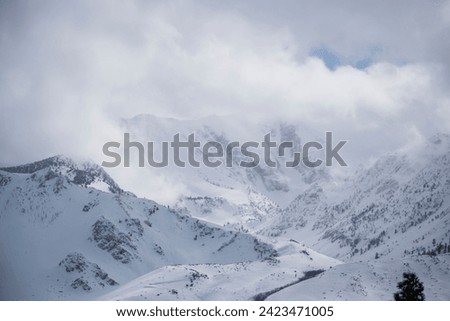 Heavy snowstorms create a winter wonderland in the eastern Sierra of Mono County, California.  Royalty-Free Stock Photo #2423471005