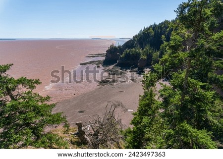 Hopewell's mud flats, coastline of Bay of Fundy. The Daniel’s Flats, northwestern side of Chignecto Bay (“north fork” of the upper Bay of Fundy), New Brunswick, Canada. Low Tide.  Royalty-Free Stock Photo #2423497363