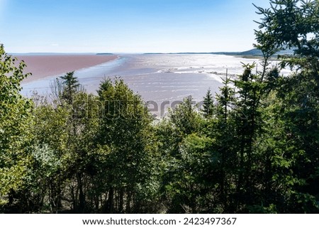 Hopewell's mud flats, coastline of Bay of Fundy. The Daniel’s Flats, northwestern side of Chignecto Bay (“north fork” of the upper Bay of Fundy), New Brunswick, Canada. Low Tide.  Royalty-Free Stock Photo #2423497367
