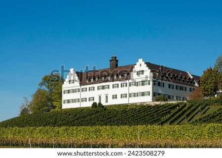 Hersberg Castle with vineyard, Immenstaad, Lake Constance, Baden-Württemberg, Germany Royalty-Free Stock Photo #2423508279