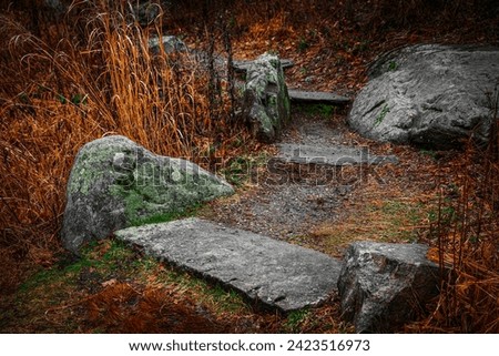 New England Winter Forest Landscape in spring rain with a curved  lichen-covered stone stairs and dried grasses along the hilly footpath  in the woodlands in a small town in America