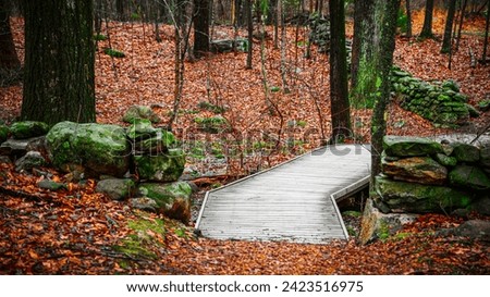 New England Winter Forest Landscape in spring rain with a curved wooden footbridge, lichen-covered stone walls, and bare oak and maple trees on the tranquil footpath in a small town in America