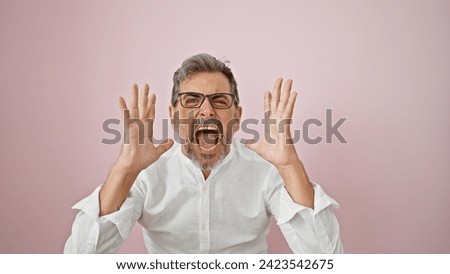 Young, attractive hispanic man, grey-haired and bearded, screaming loud, furious and frustrated over an isolated pink background Royalty-Free Stock Photo #2423542675