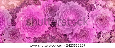 Close-up of vibrant pink succulents with a glittery overlay. Abstract science fiction panoramic background. Make-believe world concept. Futuristic fantasy, sci-fi.