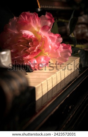 The combination of a rose and a piano, symbolizing the union of art and music in one frame. Royalty-Free Stock Photo #2423572031