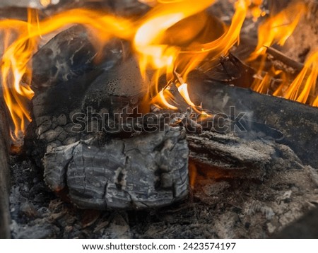 A close up of the a flame wood in bonfire. camp barbecue wood charcoal. wood that burns in the grill. blaze fire flame texture background. Tongues of flame. burning wooden logs and large orange flame
 Royalty-Free Stock Photo #2423574197