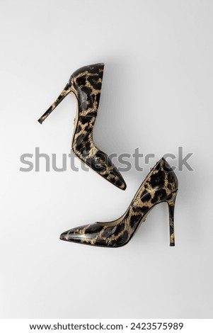 women's pointed toe high heel shoes isolated on white background. Leopard Print Women's Classic Stiletto Heels.