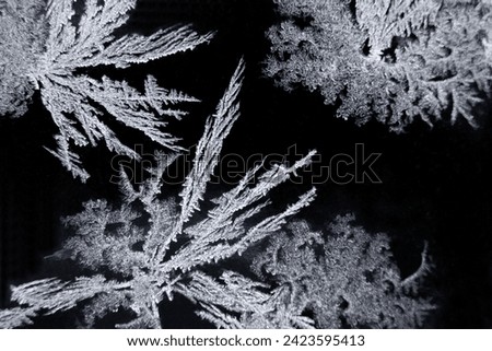 Photo of outdoor frost on the window. Focused on the detail of the structure.