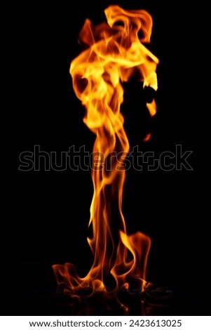 Picture of beautiful burning fire at night