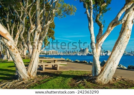 San Diego Waterfront Public Park, Marina and the San Diego Skyline. California, United States.