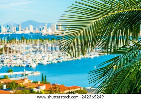 Destination San Diego, California. Palm Leaf and Blurred San Diego Cityscape Concept Photo.
