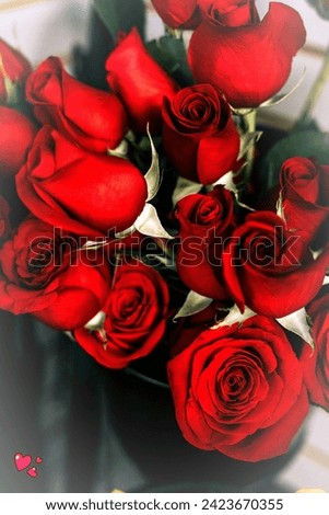 Red roses Flower Blooming with heart valentines day