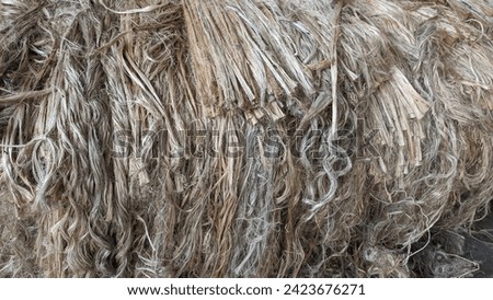 Jute pilled up for processing on a jute factory  Royalty-Free Stock Photo #2423676271