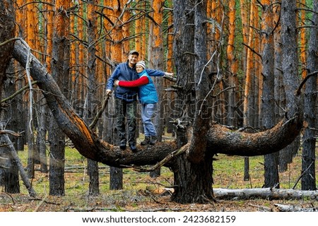 portrait of an elderly beautiful couple standing on a large pine tree in a wild forest on a spring day