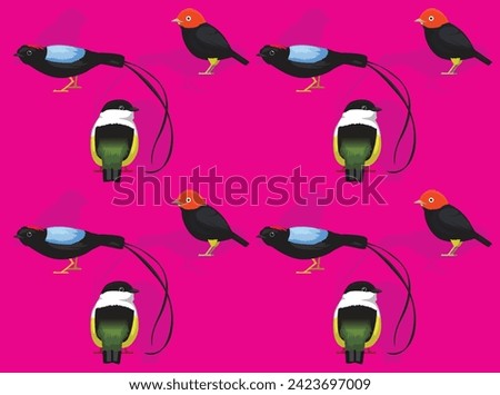 Bird Manakin Cute Seamless Wallpaper Background