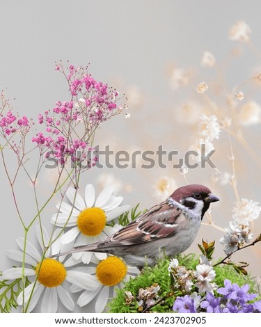 Sparrow background beautiful background with Sparrow picture