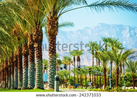 Palms Road Coachella Valley. Highway 111 in Indian Wells, California, USA. Royalty-Free Stock Photo #242371033
