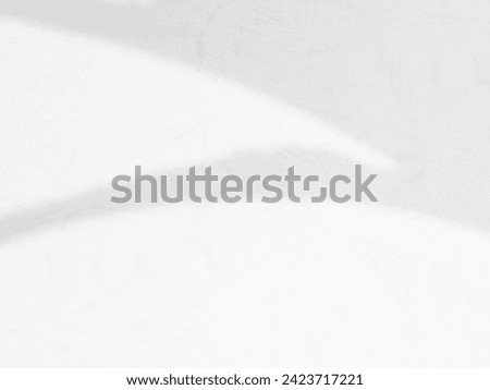Shadow Background wall Light white Abstract Backdrop Sunlight Sun Mockup Overlay Minimal Summer Gray Photography Black Modern Art Architecture Surface Bright Shape Leaves Branch Nature Smoot Desight.