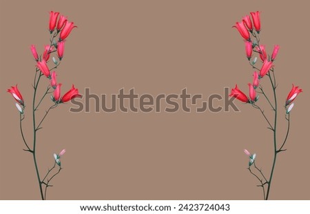 a frame of abstract bluebell flowers with pink buds on a beige, light brown background color