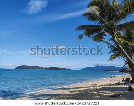 A beach with a single palm tree and blue water. It captures a tropical setting with a clear sky and a peaceful shoreline.