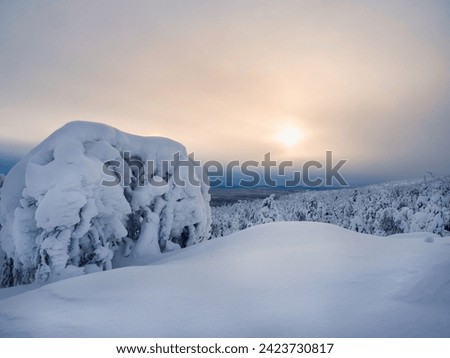 Magical bizarre silhouettes of trees are plastered with snow. Northern harsh nature. Mystical fairy tale of the winter sunrise forest. Perfect panoramic image for wall, screen. Scenic artwork.