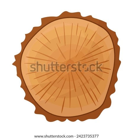 A cut of wood, a cut log, a wooden texture.
