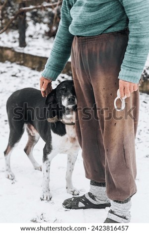An elderly homeless man caresses his hand on the head of an old hungry mongrel dog with scars in the winter in the snow outdoors. Close-up photograph of an animal with a person.