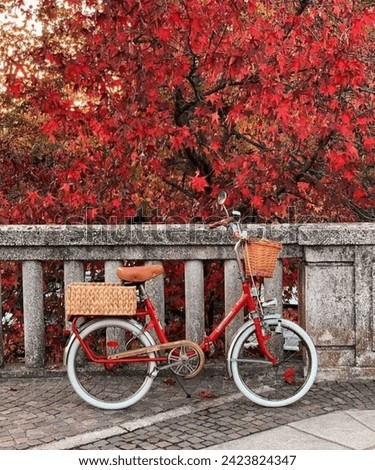 A bicycle is parked along a park wall in autumn.jpeg