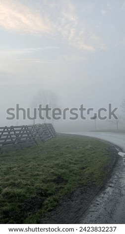 foggy morning, background of fog and spring weather, forest, snow barricades