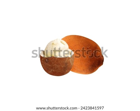 Theobroma grandiflorum or cupuaçu is used to make ice creams, snack bars and other products. Royalty-Free Stock Photo #2423841597
