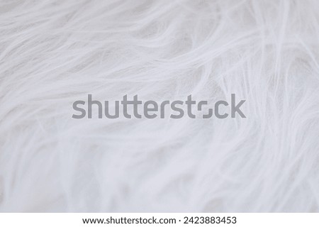 Close-up of soft, white fur texture. Concept for luxury fashion, interior design or animal care products.