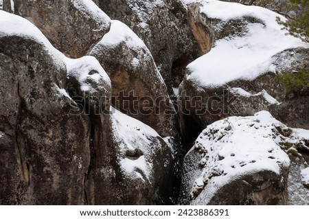 Stone detail in the winter forest, Polyanytskiy Regional Landscape Park, Carpathian mountains, Ukraine