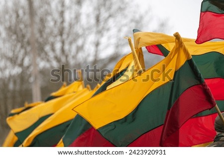 The national flag of Lithuania flutters in the wind