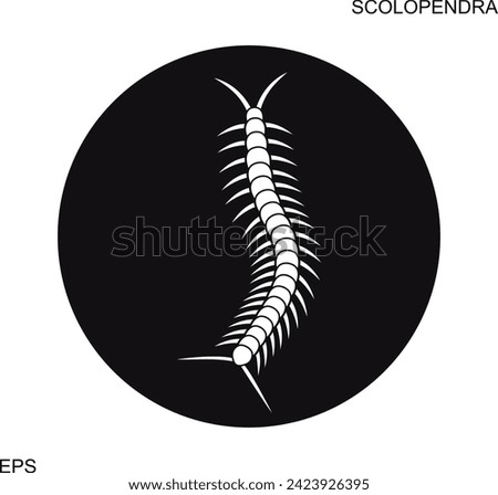 Scolopendra logo. Isolated scolopendra on white background